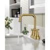 imageFORIOUS Black Bathroom Faucet for Sink 3 HoleWidespread Matte Black Bathroom Sink Faucets2 Handles RV Bathroom Faucets Vanity with Pop Up Drain and Supply HosesBrushed Gold