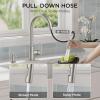 imageFORIOUS Gold Kitchen Faucet with Pull Down Sprayer Classic Single Hole Kitchen Sink Faucet with Deck Plate Single Handle High Arc Stainless Steel Fit for RV Bar Farmhouse Laundry OutdoorStainless Steel