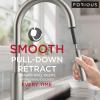imageFORIOUS Gold Kitchen Faucet with Pull Down Sprayer Classic Single Hole Kitchen Sink Faucet with Deck Plate Single Handle High Arc Stainless Steel Fit for RV Bar Farmhouse Laundry OutdoorStainless Steel