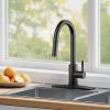 imageFORIOUS Kitchen Faucet with Pull Down Sprayer Brushed Nickel High Arc Modern Classic Sink Faucet Stainless Steel with Deck Plate Fit for 1 or 3 Hole for Pot Filler Bar Farmhouse Laundry RvOil Rubbed Bronze