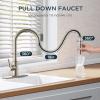 imageFORIOUS Kitchen Faucet with Pull Down Sprayer Brushed Nickel High Arc Modern Classic Sink Faucet Stainless Steel with Deck Plate Fit for 1 or 3 Hole for Pot Filler Bar Farmhouse Laundry RvStainless Steel