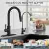 imageFORIOUS Kitchen Faucet with Pull Down Sprayer Brushed Nickel High Arc Modern Classic Sink Faucet Stainless Steel with Deck Plate Fit for 1 or 3 Hole for Pot Filler Bar Farmhouse Laundry RvMatte Black