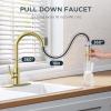 imageFORIOUS Kitchen Faucet with Pull Down Sprayer Brushed Nickel High Arc Modern Classic Sink Faucet Stainless Steel with Deck Plate Fit for 1 or 3 Hole for Pot Filler Bar Farmhouse Laundry RvBrushed Gold
