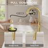 imageFORIOUS Kitchen Faucet with Pull Down Sprayer Classic Brushed Nickel Single Handle High Arc Stainless Steel Kitchen Sink Faucet 1 or 3 Hole Deck Mount for RV Bar Farmhouse Laundry OutdoorGold