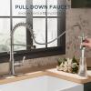 imageFORIOUS Kitchen Faucets Brushed Nickel Kitchen Sink Faucet with Pull Down Sprayer Commercial Kitchen Faucet Stainless Steel Classic Single Handle Pull Out Sink Faucets for RV Laundry Utility RoomStainless Steel