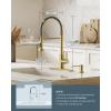 imageFORIOUS Kitchen Faucets Brushed Nickel Kitchen Sink Faucet with Pull Down Sprayer Commercial Kitchen Faucet Stainless Steel Classic Single Handle Pull Out Sink Faucets for RV Laundry Utility RoomGold