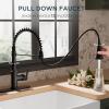 imageFORIOUS Kitchen Faucets Brushed Nickel Kitchen Sink Faucet with Pull Down Sprayer Commercial Kitchen Faucet Stainless Steel Classic Single Handle Pull Out Sink Faucets for RV Laundry Utility RoomMatte Black