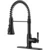 imageFORIOUS Kitchen Faucets Brushed Nickel Kitchen Sink Faucet with Pull Down Sprayer Commercial Kitchen Faucet Stainless Steel Classic Single Handle Pull Out Sink Faucets for RV Laundry Utility RoomMatte Black