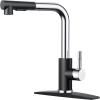 imageFORIOUS Kitchen Faucets with Pull Down Sprayer Brushed Nickel Stainless Steel Single Handle Classic Pull Out Sink Faucet for Farmhouse Bar Laundry RV with Deck Plate for 1 or 3 HolesBlackChrome