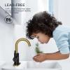 imageFORIOUS Black Bathroom Faucet 1 or 3 Hole Single Handle Matte Black Bathroom Sink Faucet 2 Pack with cUPC Supply Line and Pop Up Drain Suitable for Bar RV Vanity Restroom CommerialBlack and Gold