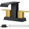 Black and Gold
